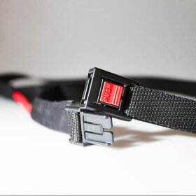 Ensemble laisse de jogging pour chien et ceinture