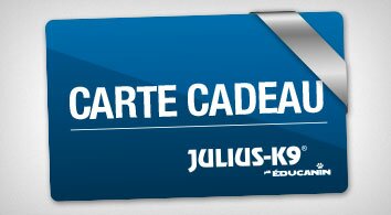 Promotion Carte Cadeau