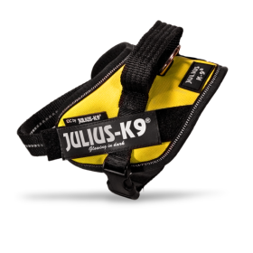 Harnais Standard Julius K-9 Sun Harnais Standard Julius K-9 Sun