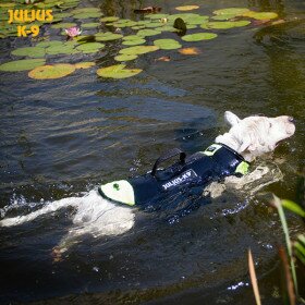 juliusk9_idc_dog_vest_05