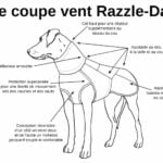 razzle-dazzle_info_FR